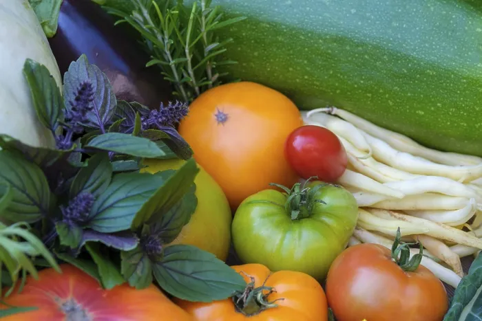 Gerahmter Druck : Verschiedene Gemüse, Tomaten, Basilikum. Gerahmter Druck : Verschiedene Gemüse, Tomaten, Basilikum.