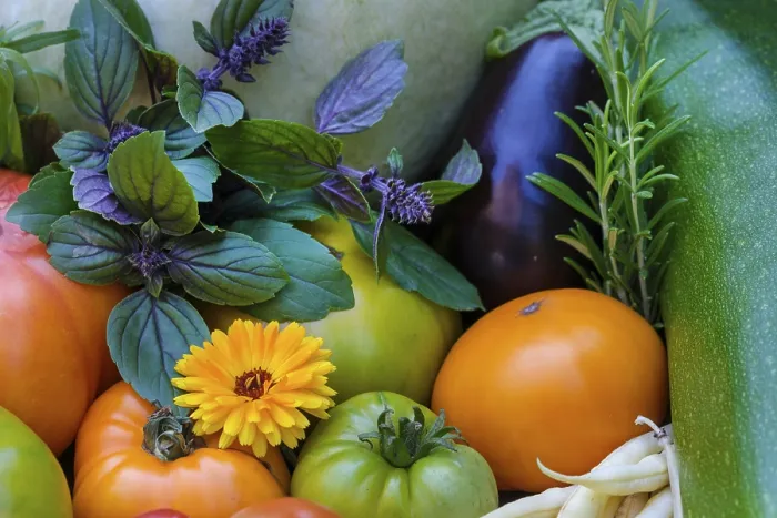 Gerahmter Druck : Verschiedene Gemüse, Tomaten, Basilikum. Gerahmter Druck : Verschiedene Gemüse, Tomaten, Basilikum.