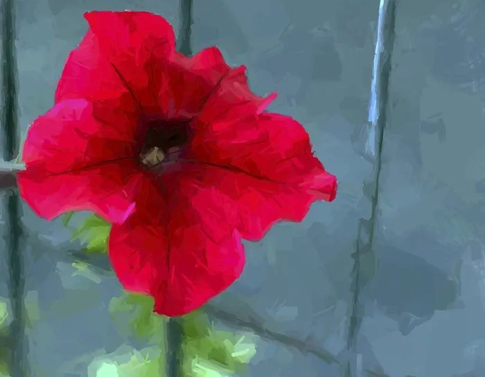 Gerahmter Druck : Ein roter Blumenstrauß in Ölmalerei-Stil Gerahmter Druck : Ein roter Blumenstrauß in Ölmalerei-Stil