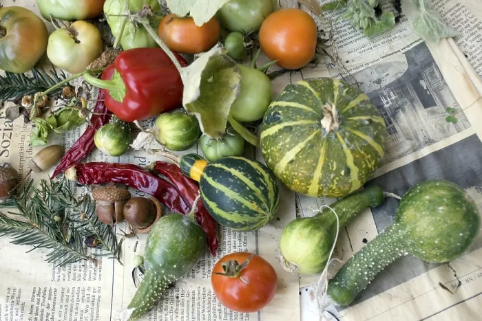 Gerahmter Druck : Vegetable Gerahmter Druck : Vegetable