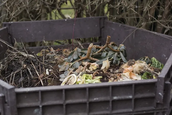 Gerahmter Druck : Gemüse- und Gartenschrott in einem offenen Kompost. Gerahmter Druck : Gemüse- und Gartenschrott in einem offenen Kompost.