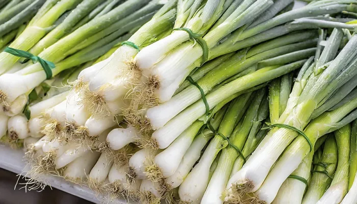 Gerahmter Druck : Gemüse, Frühlingszwiebel oder Frühlingszwiebel Gerahmter Druck : Gemüse, Frühlingszwiebel oder Frühlingszwiebel