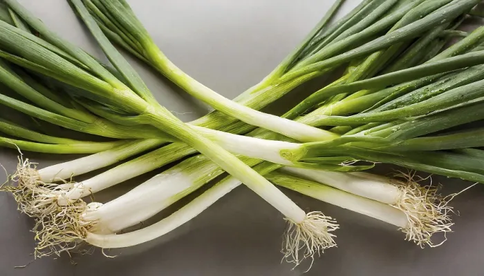 Gerahmter Druck : Gemüse, Frühlingszwiebel oder Frühlingszwiebel. Gerahmter Druck : Gemüse, Frühlingszwiebel oder Frühlingszwiebel.