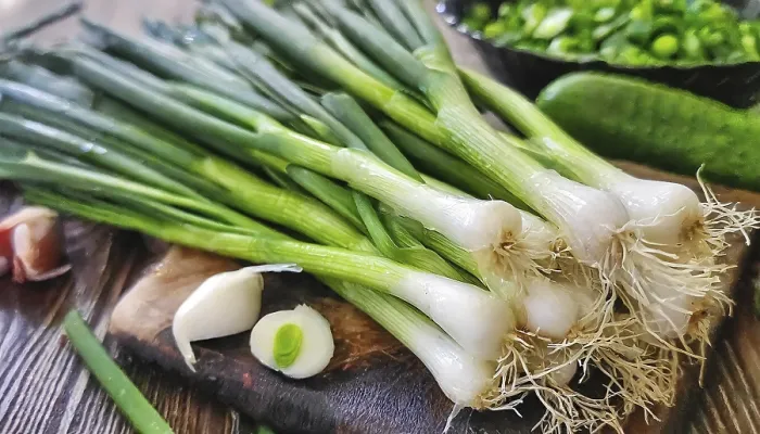 Gerahmter Druck : Gemüse, Frühlingszwiebel oder Frühlingszwiebel Gerahmter Druck : Gemüse, Frühlingszwiebel oder Frühlingszwiebel