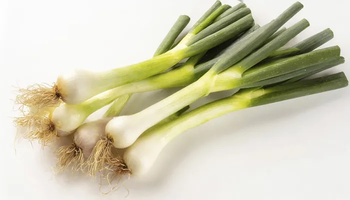 Gerahmter Druck : Gemüse, Frühlingszwiebel oder Frühlingszwiebel Gerahmter Druck : Gemüse, Frühlingszwiebel oder Frühlingszwiebel