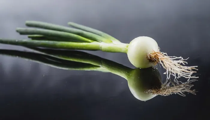 Gerahmter Druck : Gemüse, Frühlingszwiebel oder Frühlingszwiebel. Gerahmter Druck : Gemüse, Frühlingszwiebel oder Frühlingszwiebel.