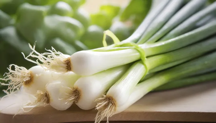 Gerahmter Druck : Gemüse, Frühlingszwiebel oder Frühlingszwiebel. Gerahmter Druck : Gemüse, Frühlingszwiebel oder Frühlingszwiebel.