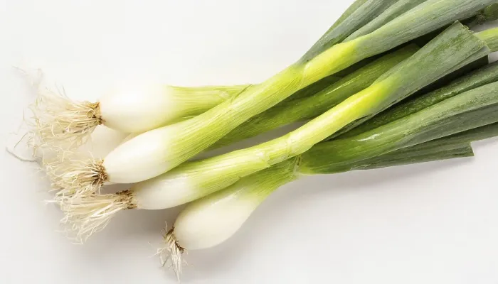 Gerahmter Druck : Gemüse, Frühlingszwiebel oder Frühlingszwiebel Gerahmter Druck : Gemüse, Frühlingszwiebel oder Frühlingszwiebel
