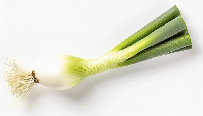 Gerahmter Druck : Gemüse, Frühlingszwiebel oder Frühlingszwiebel. Gerahmter Druck : Gemüse, Frühlingszwiebel oder Frühlingszwiebel.