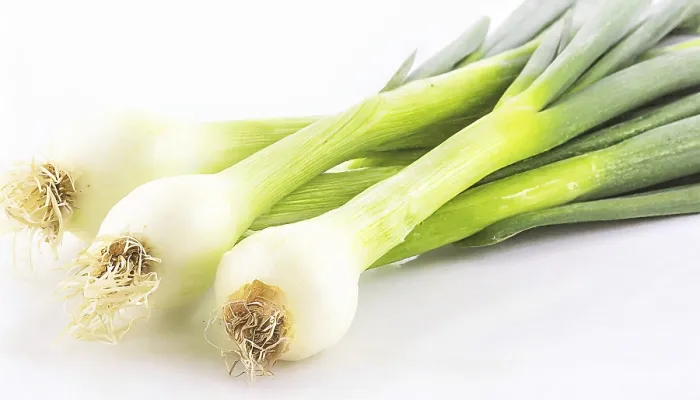 Gerahmter Druck : Gemüse, Frühlingszwiebel oder Frühlingszwiebel. Gerahmter Druck : Gemüse, Frühlingszwiebel oder Frühlingszwiebel.