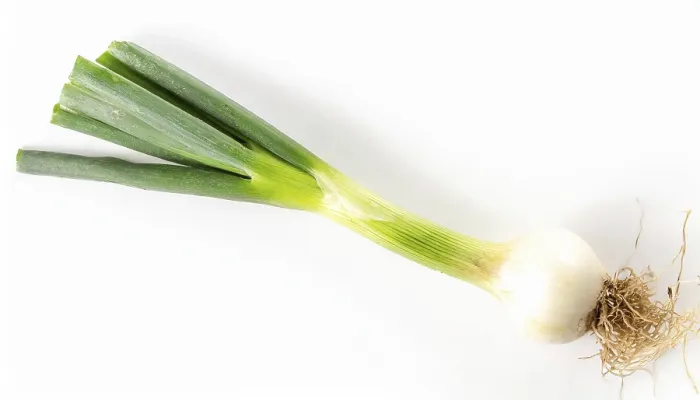 Gerahmter Druck : Gemüse, Frühlingszwiebel oder Frühlingszwiebel Gerahmter Druck : Gemüse, Frühlingszwiebel oder Frühlingszwiebel