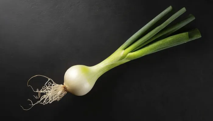 Gerahmter Druck : Gemüse, Frühlingszwiebel oder Frühlingszwiebel Gerahmter Druck : Gemüse, Frühlingszwiebel oder Frühlingszwiebel