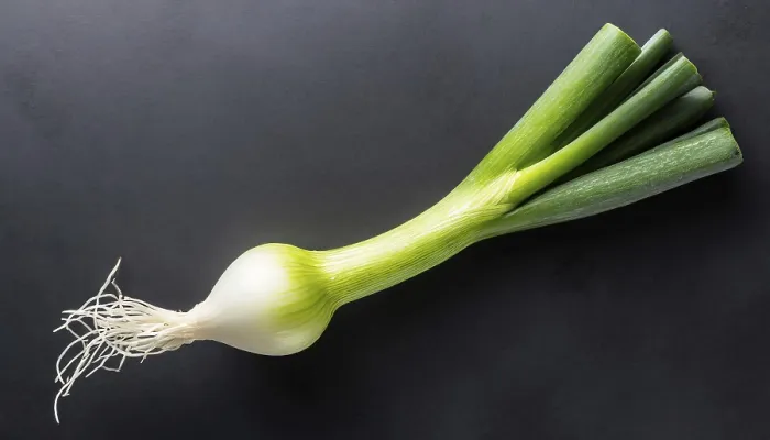 Gerahmter Druck : Gemüse, Frühlingszwiebel oder Frühlingszwiebel. Gerahmter Druck : Gemüse, Frühlingszwiebel oder Frühlingszwiebel.