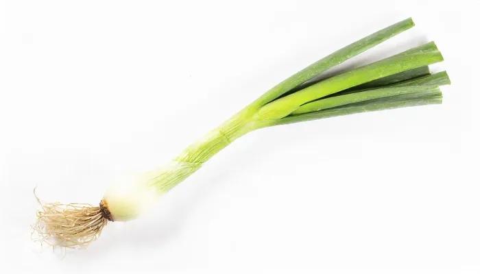 Gerahmter Druck : Gemüse, Frühlingszwiebel oder Frühlingszwiebel Gerahmter Druck : Gemüse, Frühlingszwiebel oder Frühlingszwiebel