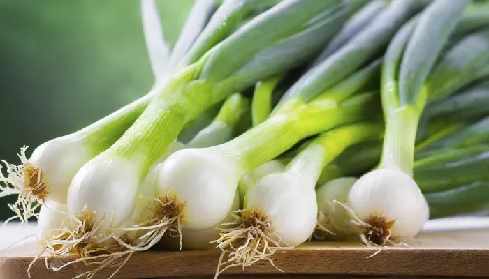Gerahmter Druck : Gemüse, Frühlingszwiebel oder Frühlingszwiebel. Gerahmter Druck : Gemüse, Frühlingszwiebel oder Frühlingszwiebel.