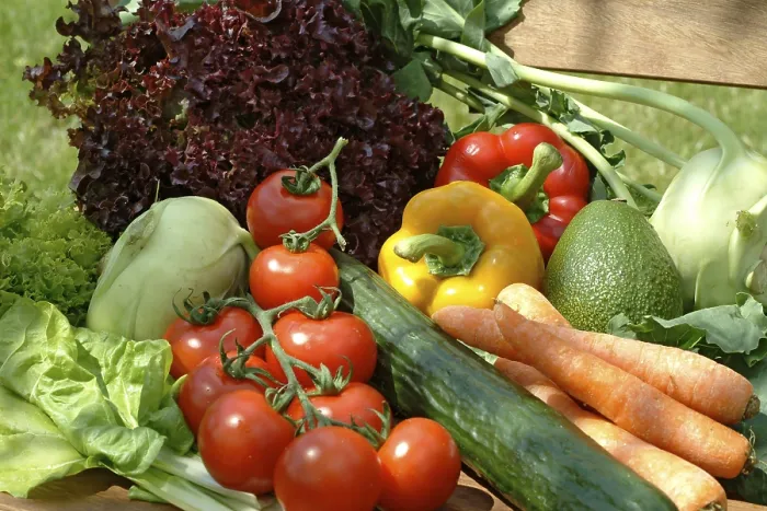 Gerahmter Druck : Vegetables Gerahmter Druck : Vegetables