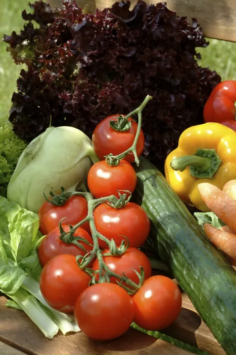 Gerahmter Druck : Vegetables Gerahmter Druck : Vegetables