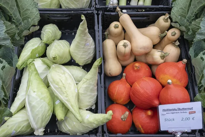 Gerahmter Druck : Gemüse, spitzes Kraut und Kurbisse. Gerahmter Druck : Gemüse, spitzes Kraut und Kurbisse.