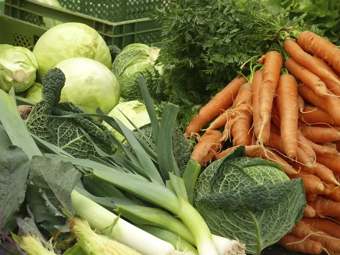 Gerahmter Druck : Veggies Gerahmter Druck : Veggies
