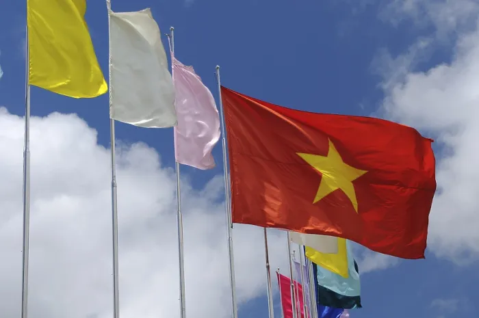 Gerahmter Druck : Vietnamesische Flagge Gerahmter Druck : Vietnamesische Flagge