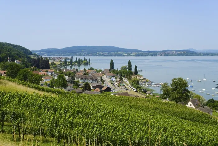 Gerahmter Druck : Blick von Arenenberg nach Mannenbach