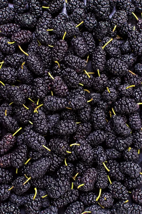 Gerahmter Druck : Obenansicht-Sortiment Maulbeeren Gerahmter Druck : Obenansicht-Sortiment Maulbeeren