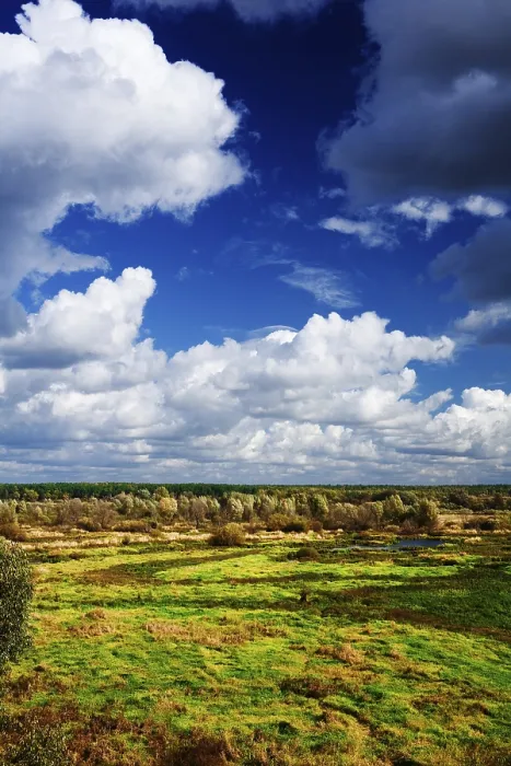 Gerahmter Druck : Ansicht auf die Herbstwiese. Gerahmter Druck : Ansicht auf die Herbstwiese.