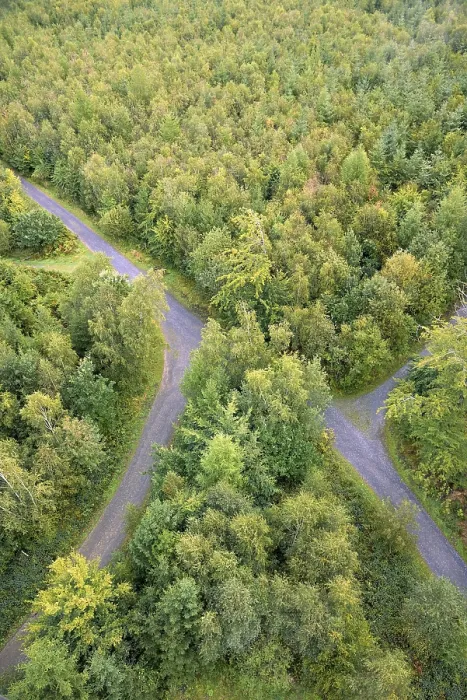 Gerahmter Druck : Blick über einen herbstlichen Mischwald mit Waldwegen. Gerahmter Druck : Blick über einen herbstlichen Mischwald mit Waldwegen.