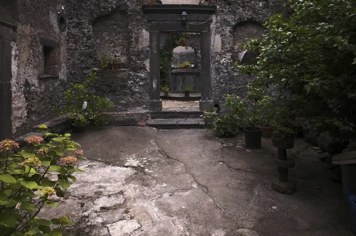 Gerahmter Druck : Blick in den Garten, vulkanischer Fels. Gerahmter Druck : Blick in den Garten, vulkanischer Fels.