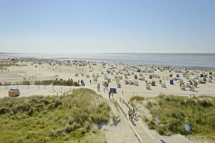 Gerahmter Druck : Blick auf Strand mit Strandstühlen. Gerahmter Druck : Blick auf Strand mit Strandstühlen.