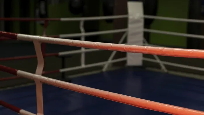 Gerahmter Druck : Vorderansicht leerer Boxring. Gerahmter Druck : Vorderansicht leerer Boxring.