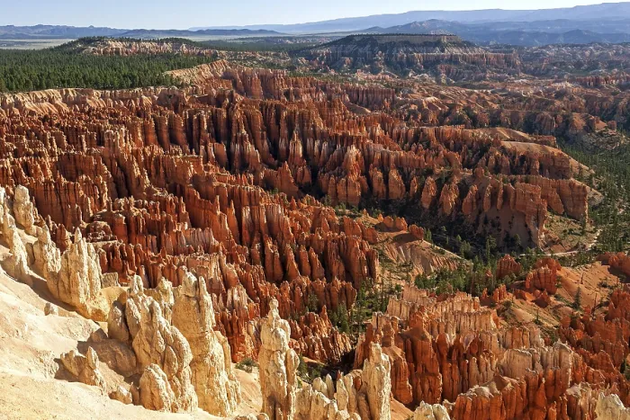 Gerahmter Druck : Blick auf das Bryce Amphitheater vom Bryce Point. Gerahmter Druck : Blick auf das Bryce Amphitheater vom Bryce Point.