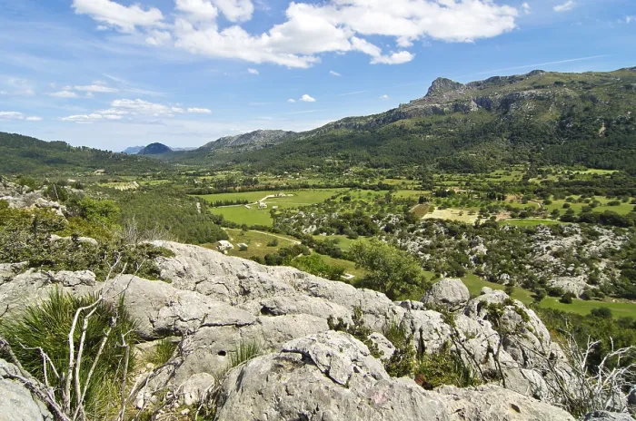 Gerahmter Druck : Blick vom Cap de Formentor, Mallorca