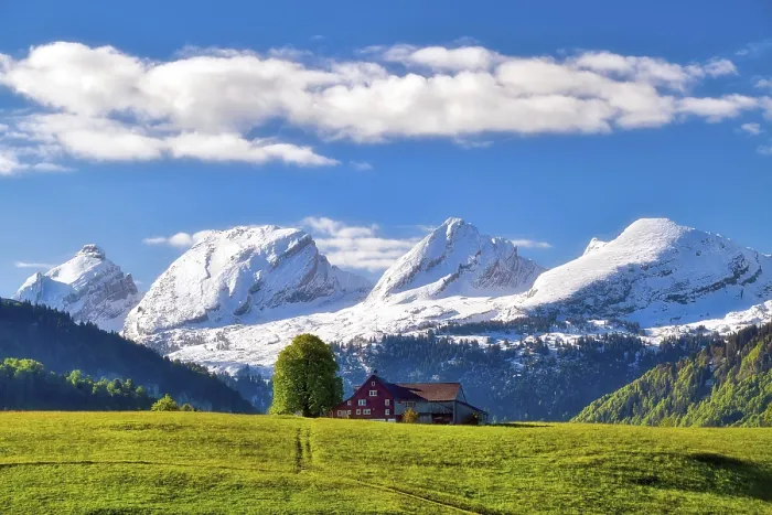 Gerahmter Druck : Blick auf die schneebedeckten Churfirsten, vor einem Bauernhof in Toggenburg, Kanton St. Gallen, Schweiz Gerahmter Druck : Blick auf die schneebedeckten Churfirsten, vor einem Bauernhof in Toggenburg, Kanton St. Gallen, Schweiz