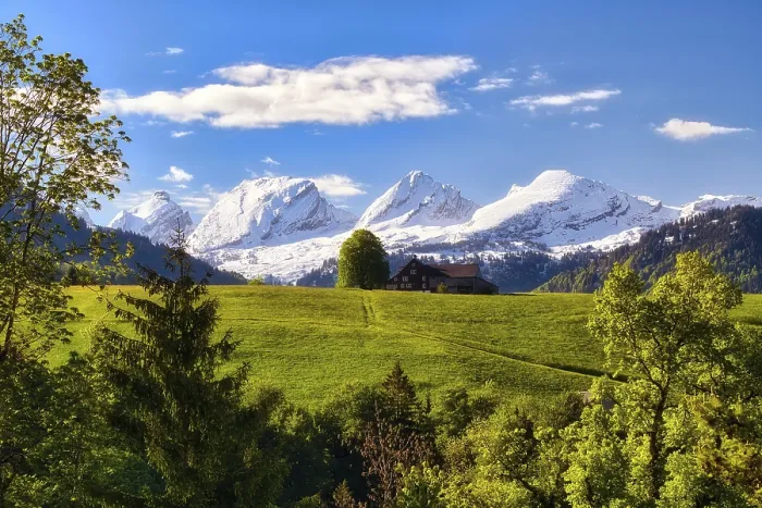 Gerahmter Druck : Blick auf die schneebedeckten Churfirsten. Gerahmter Druck : Blick auf die schneebedeckten Churfirsten.