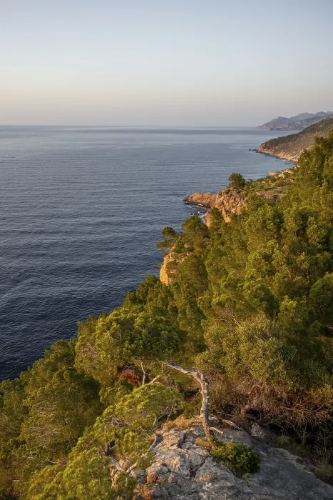 Gerahmter Druck : Blick über die Klippen und das Meer, Mallorca, Spanien. Gerahmter Druck : Blick über die Klippen und das Meer, Mallorca, Spanien.