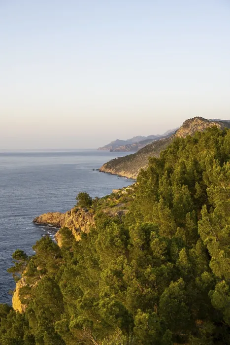 Gerahmter Druck : Blick über die Klippen und das Meer, Mallorca, Spanien. Gerahmter Druck : Blick über die Klippen und das Meer, Mallorca, Spanien.