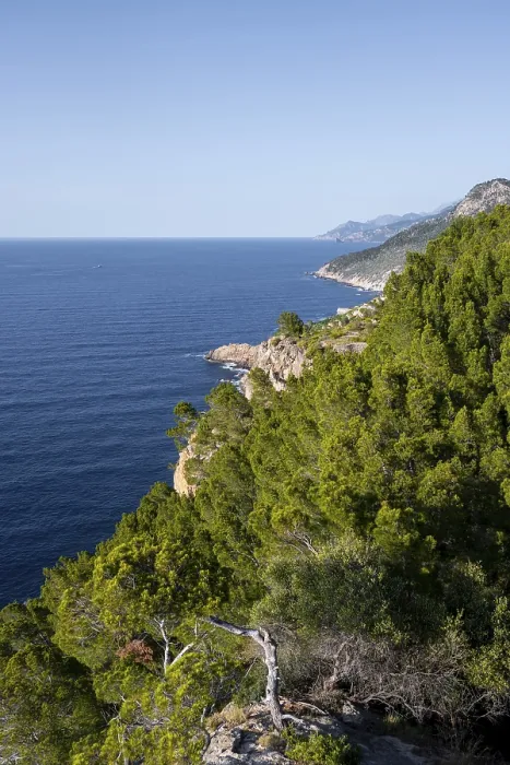 Gerahmter Druck : Blick über die Klippen und das Meer, Mallorca, Spanien. Gerahmter Druck : Blick über die Klippen und das Meer, Mallorca, Spanien.