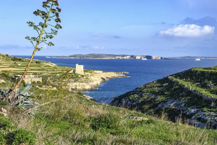 Gerahmter Druck : Ansicht der Insel Comino im Hintergrund, kleiner Fjord Mgarr ix-Xini mit historischer Wachturm in der Mitte, Gozo-Insel, Malta
