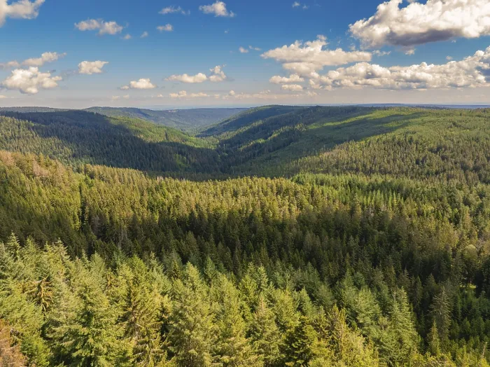 Gerahmter Druck : Ein Blick hinab in einen tiefen Tal. Gerahmter Druck : Ein Blick hinab in einen tiefen Tal.