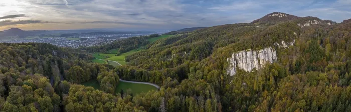 Gerahmter Druck : Blick auf Dornach vom Gempenpass. Gerahmter Druck : Blick auf Dornach vom Gempenpass.