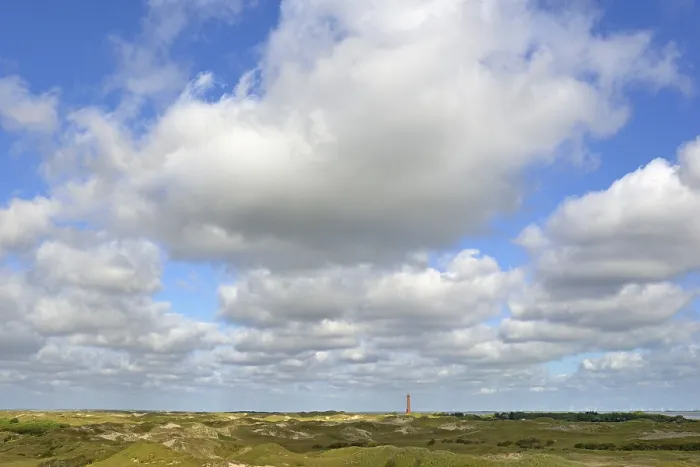Gerahmter Druck : Blick über Dünen mit Leuchtturm Norderney.