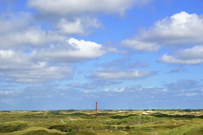 Gerahmter Druck : Blick über Dünen mit Leuchtturm Norderney. Gerahmter Druck : Blick über Dünen mit Leuchtturm Norderney.