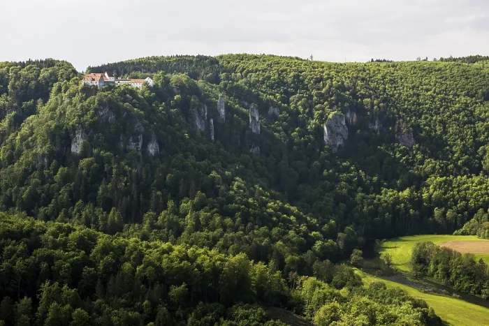 Gerahmter Druck : Blick vom Eichfelsen zum Wildenstein. Gerahmter Druck : Blick vom Eichfelsen zum Wildenstein.