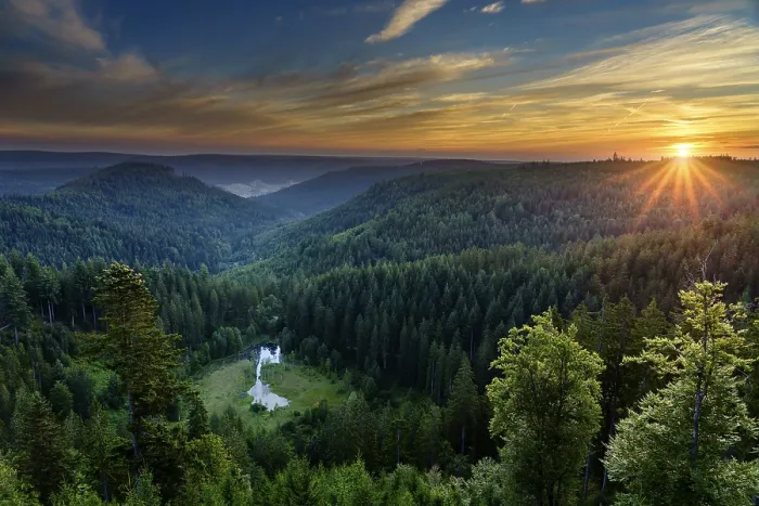 Gerahmter Druck : Sonnenaufgang vom Ellbachseeblick, Schwarzwald, Baiersbronn, Baden-Württemberg Gerahmter Druck : Sonnenaufgang vom Ellbachseeblick, Schwarzwald, Baiersbronn, Baden-Württemberg