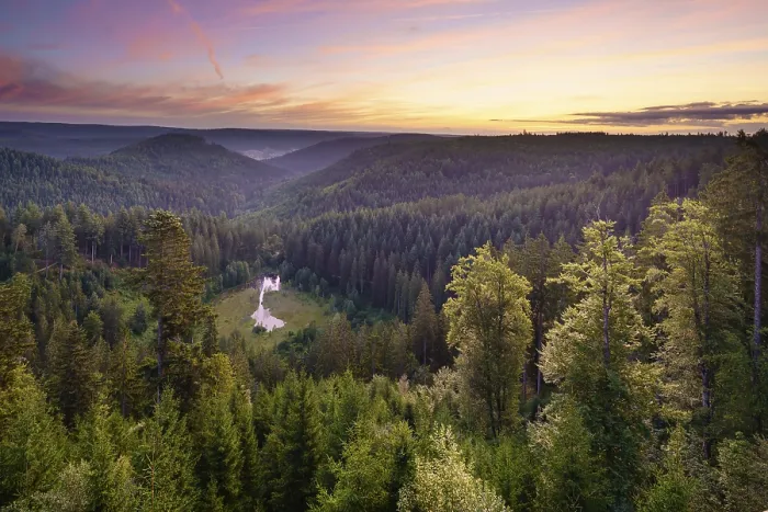 Gerahmter Druck : Blick vom Ellbachseeblick-Aussichtspunkt Gerahmter Druck : Blick vom Ellbachseeblick-Aussichtspunkt