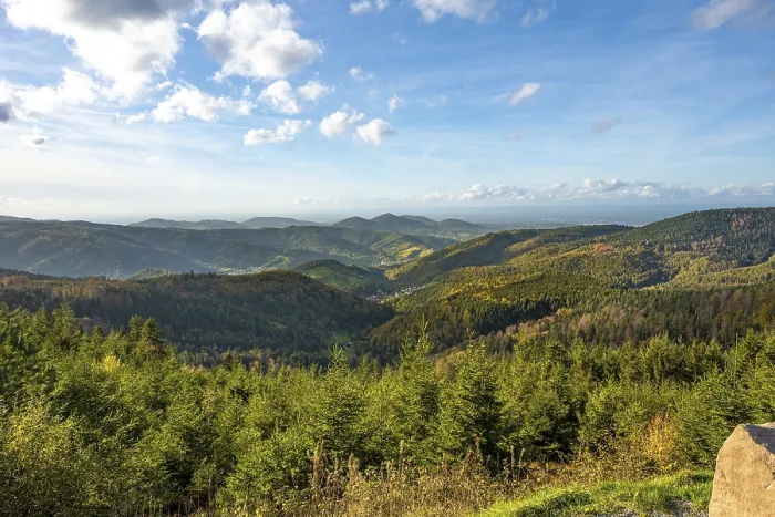 Gerahmter Druck : Blick in den endlosen Wald, Bad Wildbad Gerahmter Druck : Blick in den endlosen Wald, Bad Wildbad