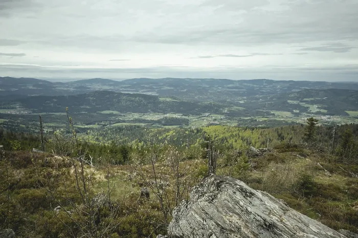 Gerahmter Druck : Blick vom Enziang-Gipfel in den Bayerischen Wald Gerahmter Druck : Blick vom Enziang-Gipfel in den Bayerischen Wald