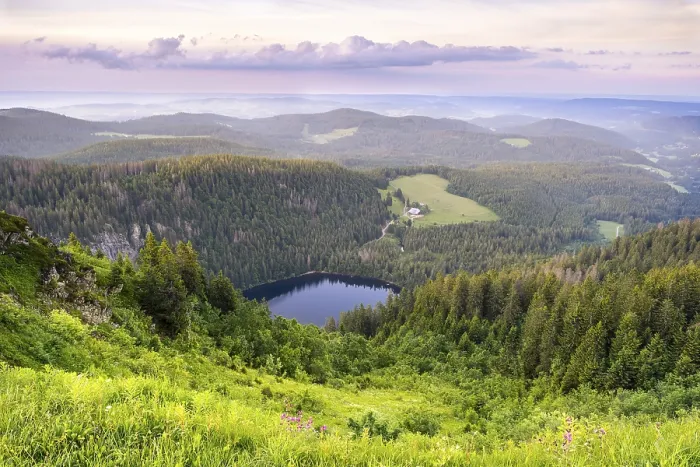 Gerahmter Druck : Blick auf den Feldsee am Abend. Gerahmter Druck : Blick auf den Feldsee am Abend.