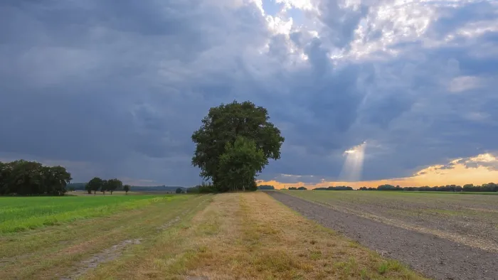 Gerahmter Druck : Blick über Felder in den Himmel. Gerahmter Druck : Blick über Felder in den Himmel.